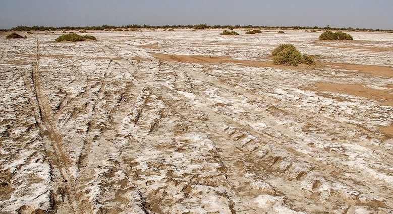 حال جازموریان هم خوب نیست